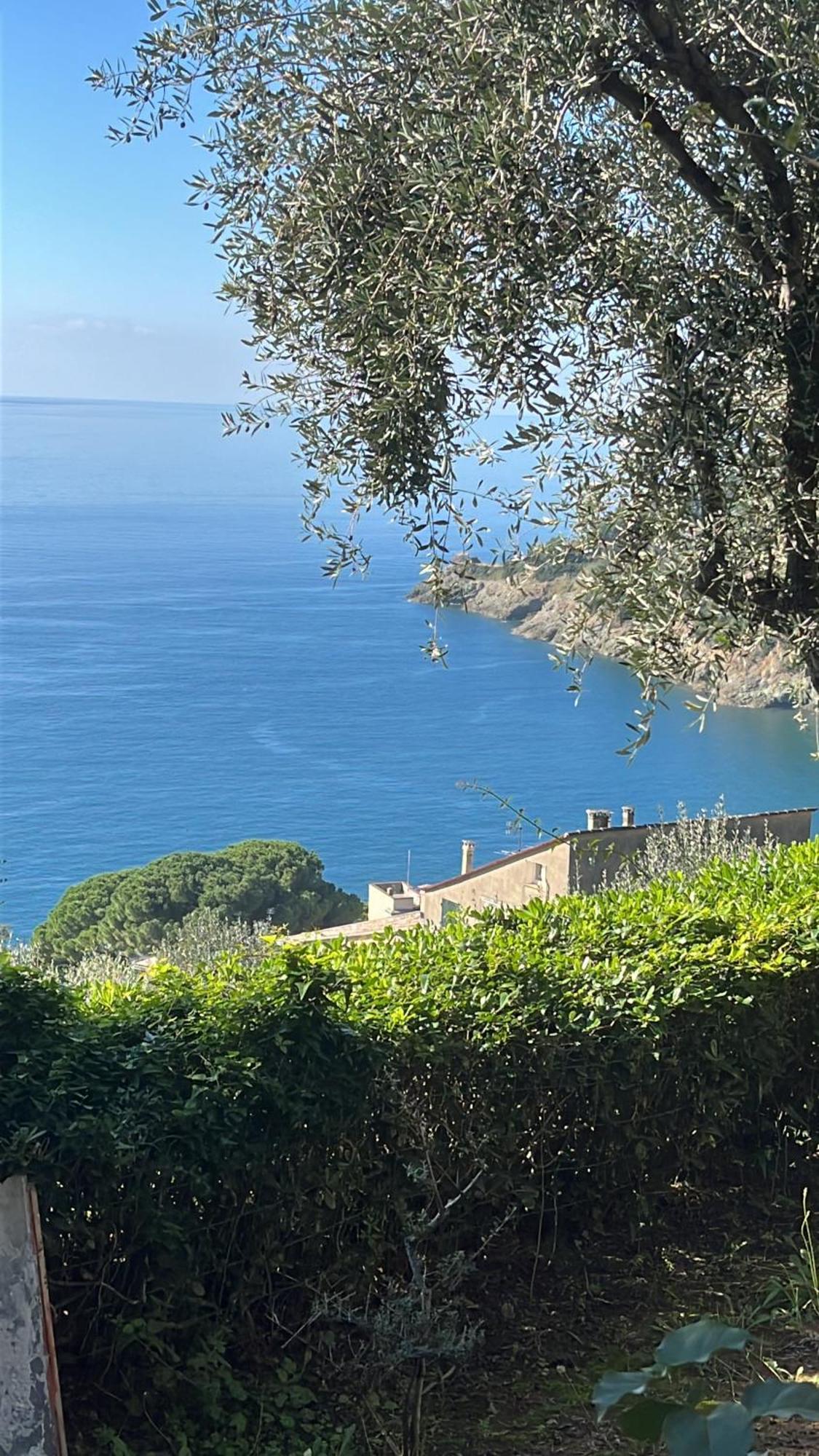 Casa Orchidea - Vista Mare Meravigliosa Bonassola Exterior photo