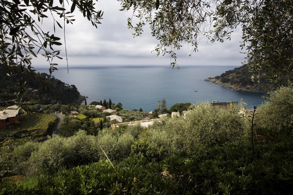 Casa Orchidea - Vista Mare Meravigliosa Bonassola Room photo